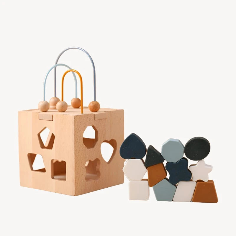 Baby Montessori Toy Geometric Shape